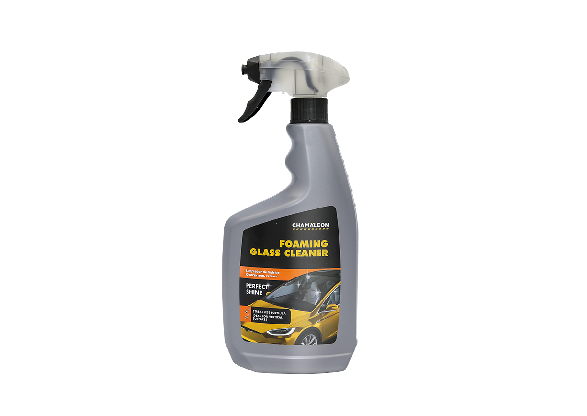 Glass Cleaner (foaming)