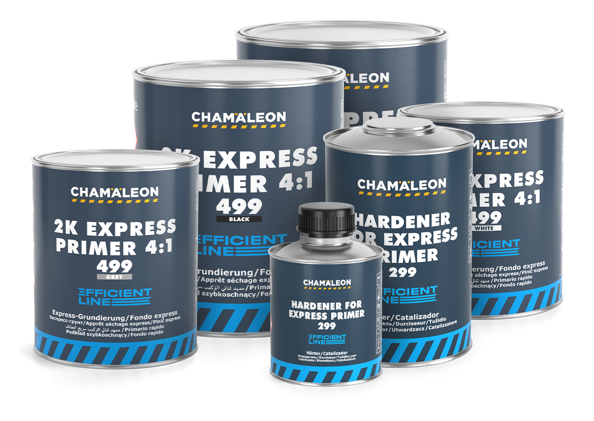Express Primer